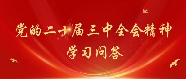 黨的二十屆三中全會精神 |系列問答